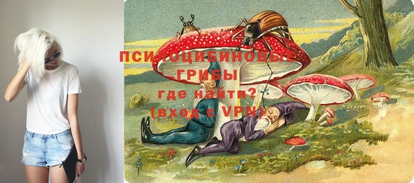 скорость Богородск